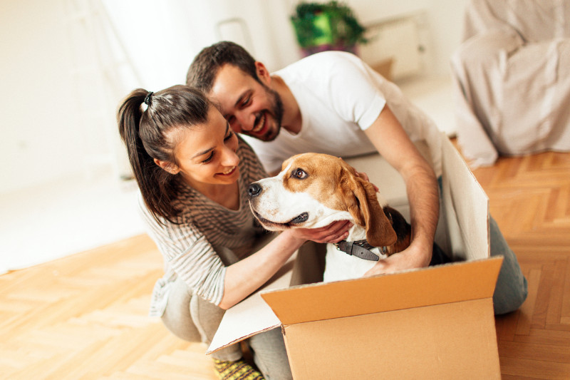 Happy couple playing with their dog