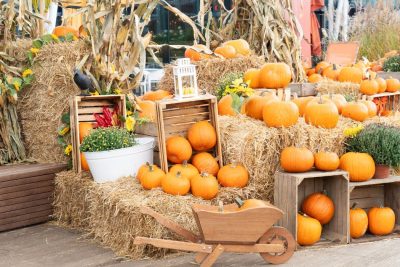 Pumpkins