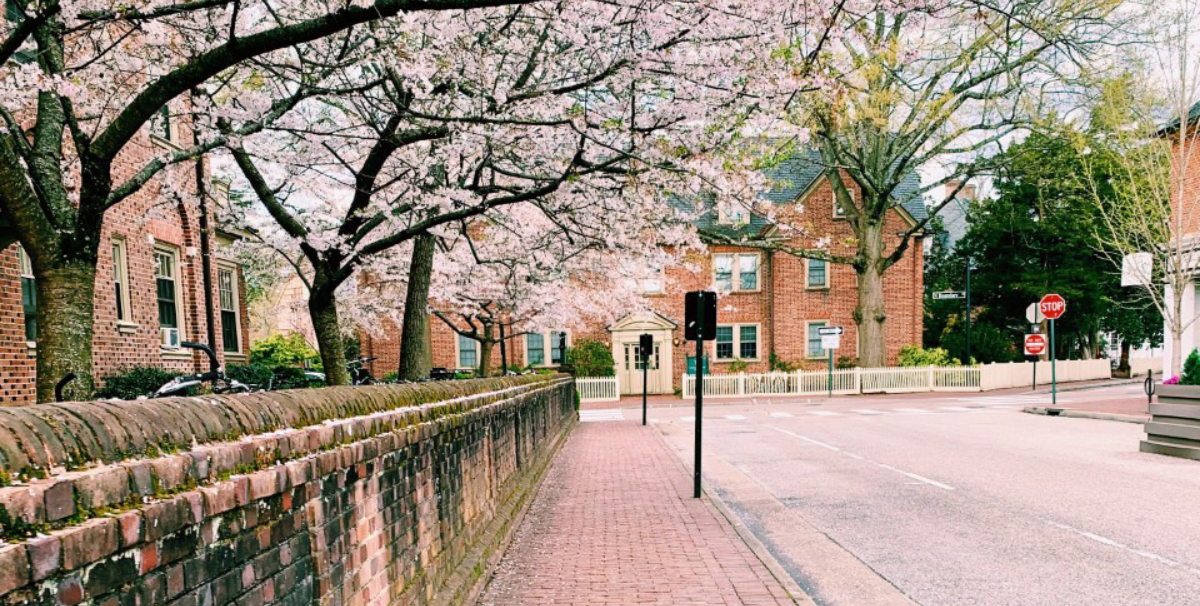 Beautiful spring landscaping in Williamsburg, VA, represented by SRMF Real Estate
